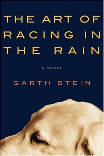 Book cover for The Art of Racing in the Rain by Garth Stein