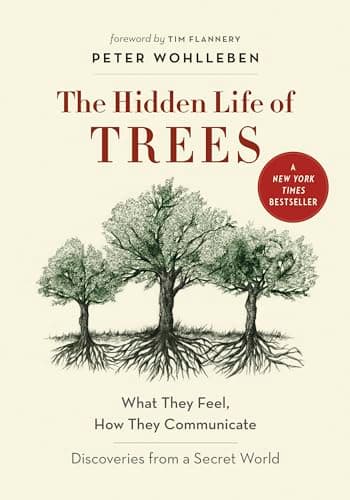 Book cover for The Hidden Life of Trees by Peter Wohlleben