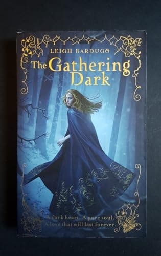 Book cover for The Gathering Dark by Leigh Bardugo